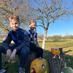 May include: Two children sit on a tree stump in a sunny outdoor scene. A carved pumpkin with a smiling face and apples inside sits in front of them. Other carved pumpkins and a pumpkin-shaped plush toy are nearby, suggesting a Halloween theme.