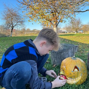 May include: A person carving a jack-o'-lantern with a carved mouth and triangular eyes. The pumpkin is on the grass, and the person is holding an apple. The person is wearing a blue and black sweater.