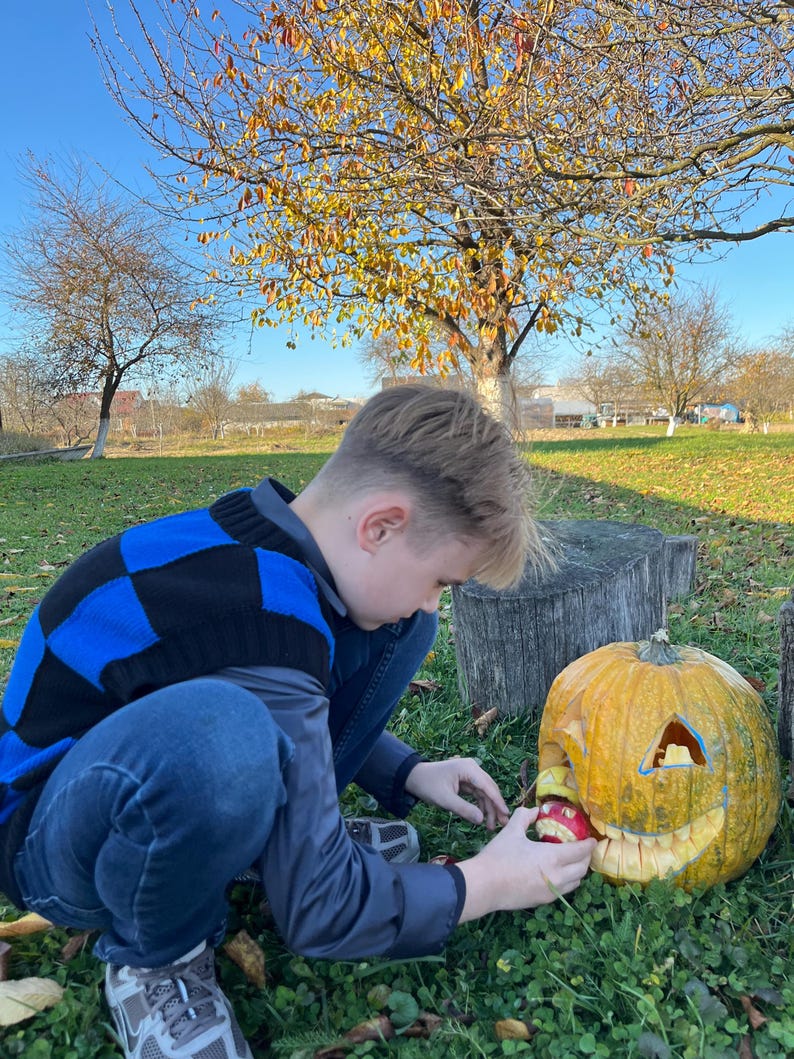 May include: A person carving a jack-o'-lantern with a carved mouth and triangular eyes. The pumpkin is on the grass, and the person is holding an apple. The person is wearing a blue and black sweater.