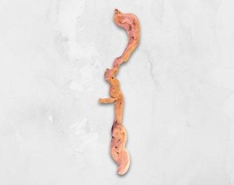 Curly Snake Driftwood with 2-inch Appendage in Center