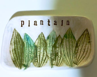 Plantain “Sweet Botanicals” Soap Dish