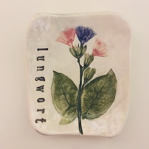 Lungwort “Sweet Botanicals” Soap Dish