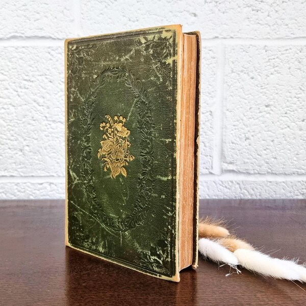 Antique Botanical Book: Romance of Nature
