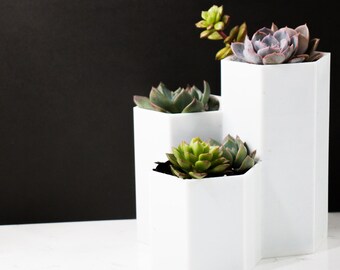 3 Hexagon PLANT POT 3 in one pot 3d printed plant pot outdoor and indoor pot cacti succulent PLA white