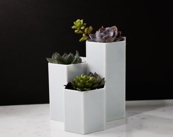 3 HEXAGON PLANT POT