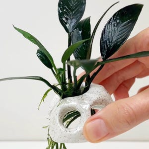 Keramik Aquarium Dekoration, Anubias Pflanzenhalter, verschiedene Farben