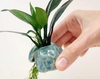 Aquarium Decoration, Anubias Plant Holder, Various Colours