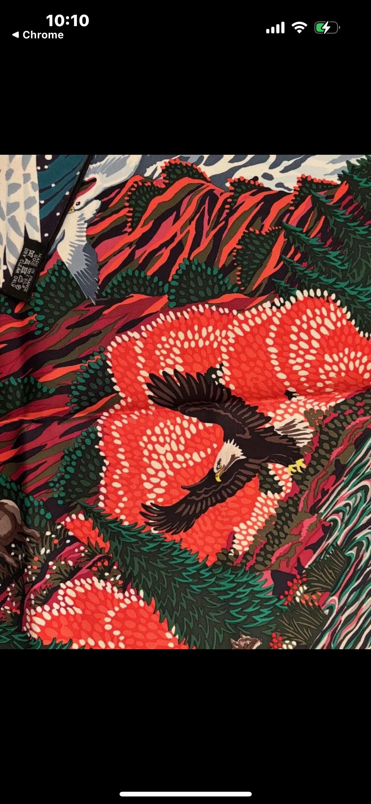 RARE Hermes Alice Shirley Into the Wild Canada 150 Anniversary