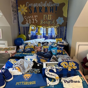 Hand Painted Custom Banners, Paper Painted Banner, Banners for Birthdays, Banners for Graduation, Banners for Events **READ DESCRIPTION**
