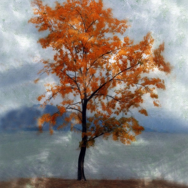 Lonely Tree - Fine Art Print Digital Painting