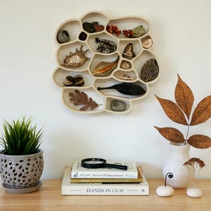 Nature Nest organic modern ceramic nature wall art sculpture curiosity shelf cabinet collector display nature lovers naturalists Schowalter