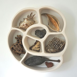 Nature Nest is an organic modern ceramic wall sculpture & curiosity display shelf for nature lovers and naturalists made by Tina Schowalter