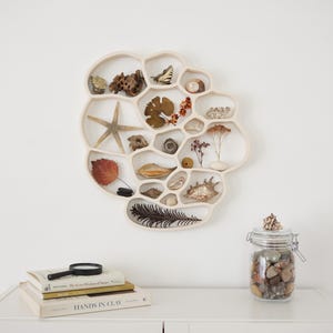Nature Nest is an organic modern ceramic wall sculpture & curiosity display shelf for nature lovers minimalist art white ceramic wall art
