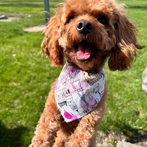 Pink Paris Bandanna - Over The Collar Bandanna Bandana, Pink Dog Bandana, Cute Dog Bandana, Personalized Dog Bandana, Girl Dog Bandana