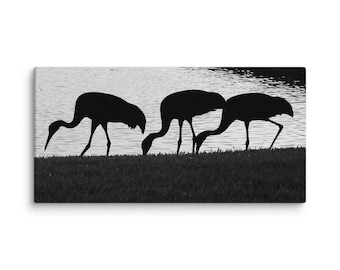 Sandhill Silhouette 2