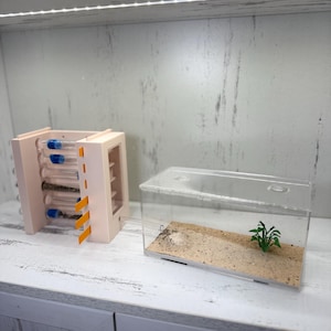 Exclusive Colorway Test Tube Tower with Outworld – Limited Edition Ant Habitat Only on Etsy