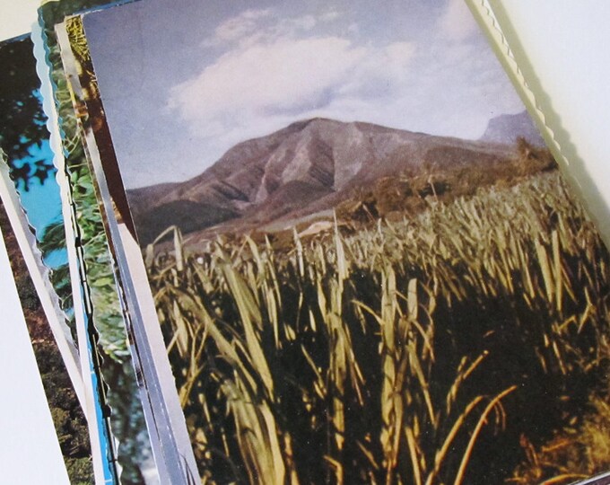 24 Vintage Hawaii Postcards Blank on Back Perfect for - Etsy