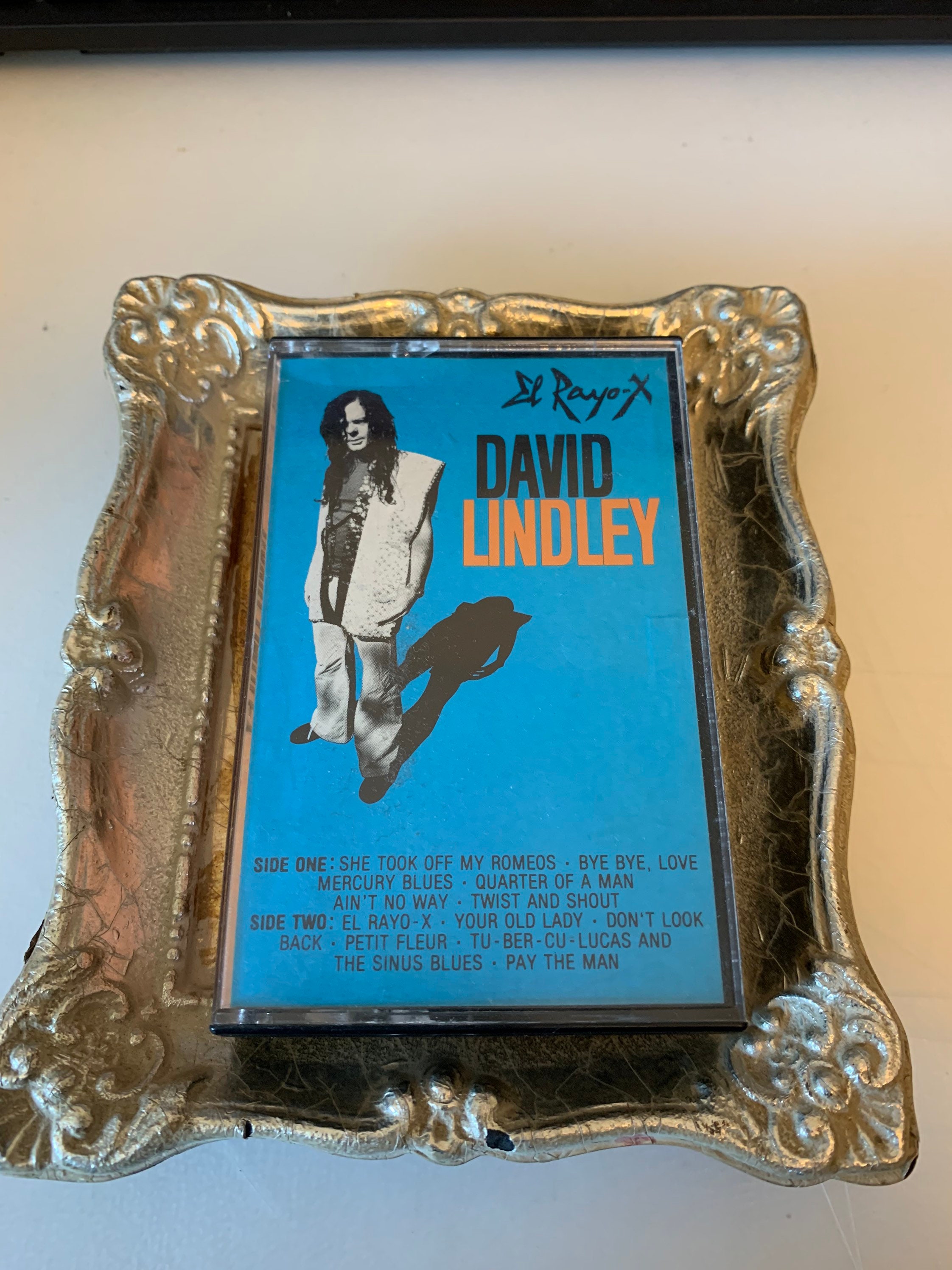 David Lindley Tシャツ 1992年 David Lindley Tシャツ 1992年 - メルカリ