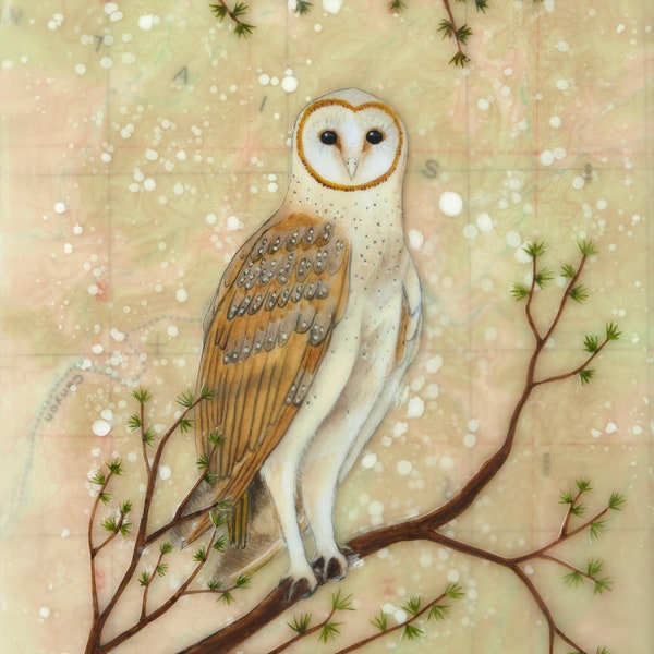 Print - Limited Edition - "Guardians of the Wood - owl" - mixed media encaustic