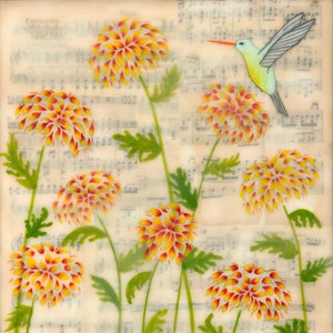 Print - Limited Edition - Hummingbird - encaustic mixed media
