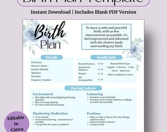 Blue Editable Birth Plan – Labour & Delivery Template (Printable PDF)