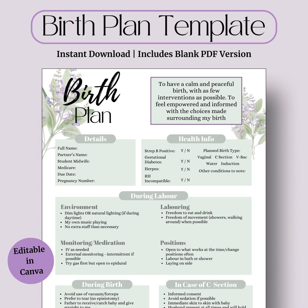 Making Birth Plan Green Editable Birth Plan – Labour & Delivery Template (printable PDF ...