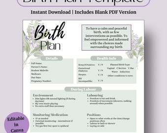 Green Editable Birth Plan – Labour & Delivery Template (Printable PDF)