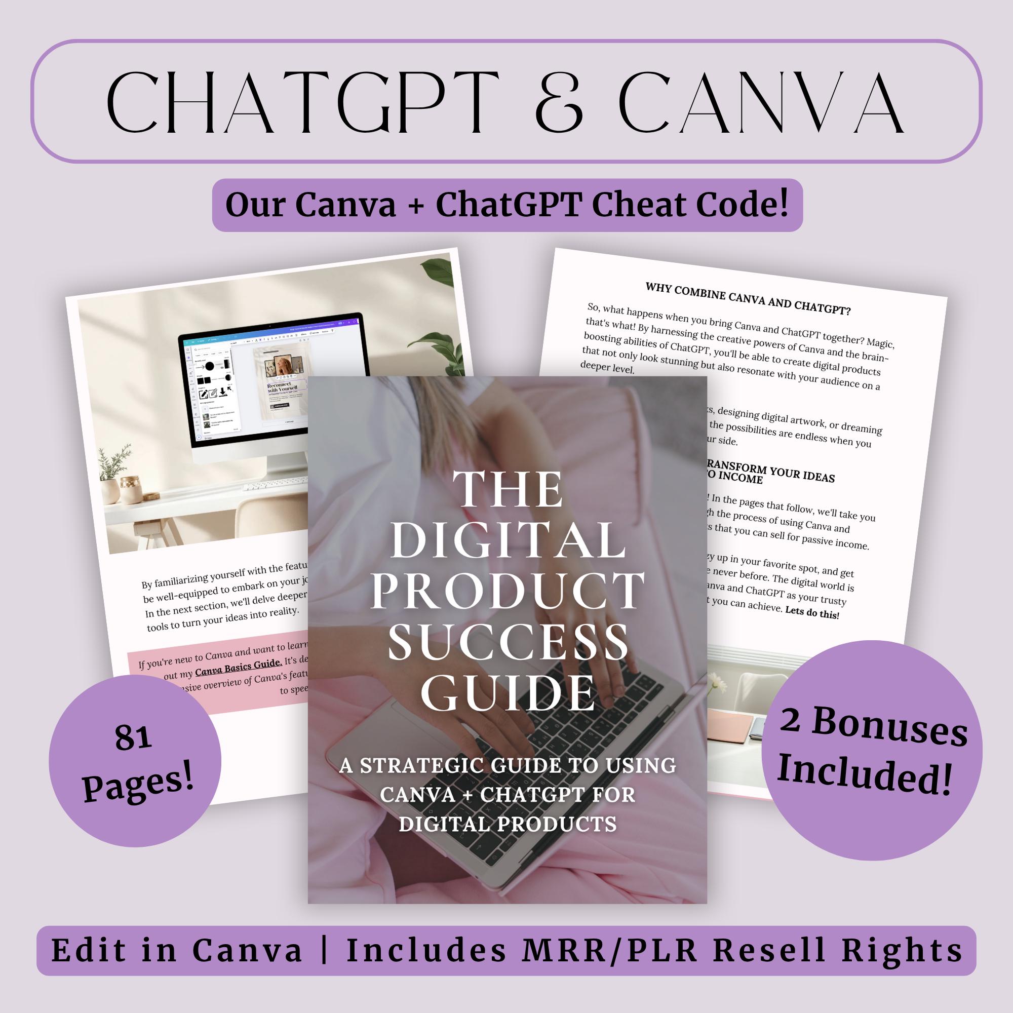 Why should you buy PLR AI Cheat Codes for Internet Marketing?