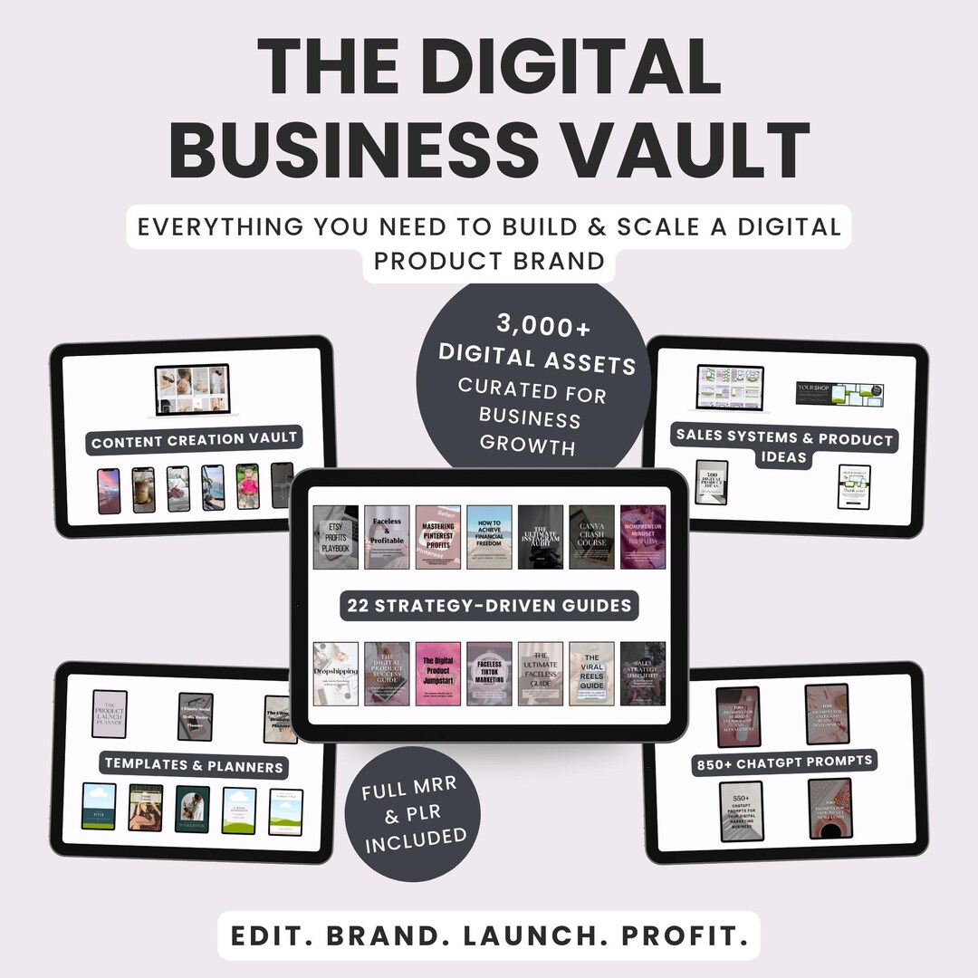 Comparison With Competitors of Digital Asset Vault PLR Bundle