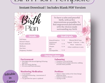 Pink Editable Birth Plan – Labour & Delivery Template (Printable PDF)