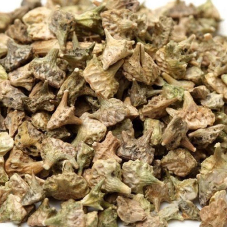 May include: A close-up of a pile of dried, brown, and green prickly seeds.