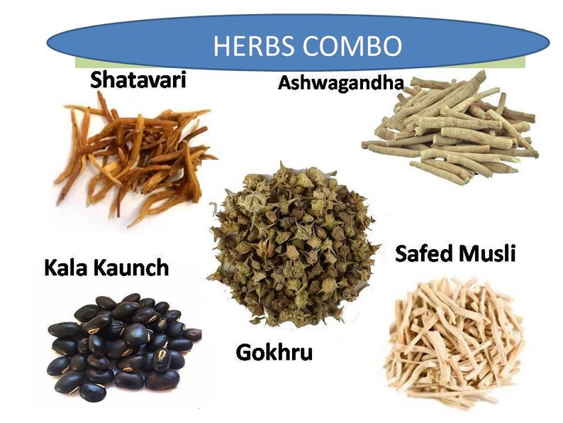 May include: A collection of dried herbs, including Shatavari, Ashwagandha, Kala Kaunch, Safed Musli, and Gokhru. The herbs are arranged in a circle with the name of each herb written below it. The title "HERBS COMBO" is written at the top of the image.