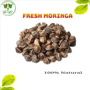 May include: A collection of fresh moringa seeds, light brown in colour, on a white backdrop. The words "FRESH MORINGA" are in orange above the seeds, with "100% Natural" below. The Organic Farms logo is in the top left.