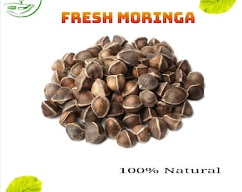 Organic Moringa Oleifera Seeds: Heirloom Miracle Tree Seeds