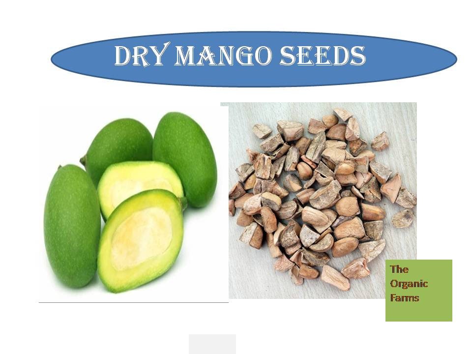 Organic Dried Mango Seed - Mangifera Indica  - Aam Guthali - Aam Magaj - Mango seed