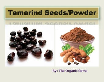 Imli Beej, Imli Beej Pahadi, Wild Tamarind seeds, Tamarindus Indica Seed, Imli, Tamarind Seeds Powder, Imli Beej Powder, Pure Tamarind Seeds