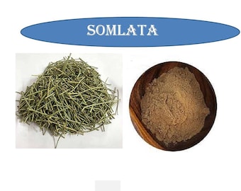 Somlata Herb: Whole & Powder, Indian Natural Herb