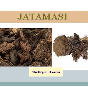 Puede incluir: Primer plano de raíces secas de Jatamasi, una hierba medicinal, de color marrón y negro. Las raíces están dispuestas en un montón y tienen una textura rugosa. La imagen también muestra un montón de polvo de Jatamasi molido, que es de color marrón claro.