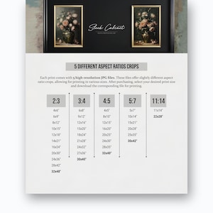 May include: A chart showing five different aspect ratios for printing images. The chart lists various sizes in inches for each aspect ratio, including 2:3, 3:4, 4:5, 5:7, and 11:14.