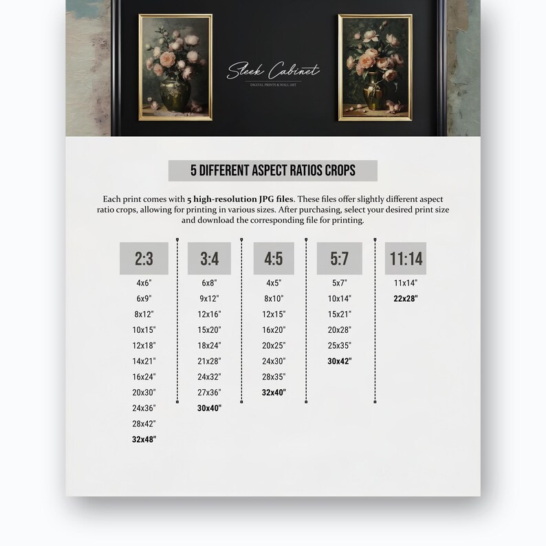 May include: A chart showing five different aspect ratios for printing images. The chart lists various sizes in inches for each aspect ratio, including 2:3, 3:4, 4:5, 5:7, and 11:14.