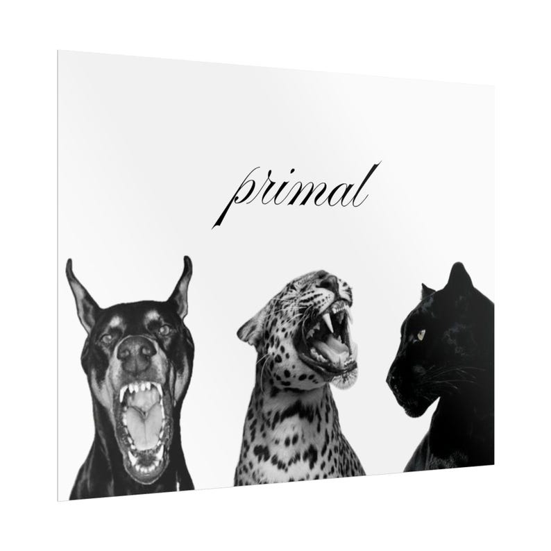 Primal Poster Bold Black & White Animal Wall Art, Chic Minimal Leopard ...