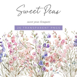 Sweet Peas Watercolor Clipart, Sweet Pea Floral Bouquets, Pink and Purple Watercolor Flowers, Watercolor Sweet Pea Floral Bouquet Clip Art