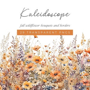 Bunte Herbst Wildblumen Blumensträuße und Ränder, Aquarell Orange Blumen Clip Art, Herbst Wiese Blume Clipart zum Basteln und Karten machen