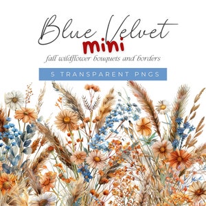 Aquarell Wildblumen Blumen Clipart, Herbst Blumen, Herbst-Blumensträuße und Rahmen, Orange und Blaue Blume PNGs, Herbst Rahmen Clip Art Pack