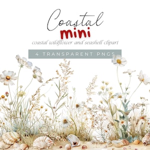 Coastal Seashell and Floral Watercolor, Coastal Wildflower and Seashell Clip Art, Watercolor Beach Clipart, Beach and Coastal Summer Clipart