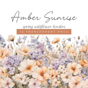 Frühling Floral Bordüren, Wildblumen Ränder, Pfirsich, Lila und Creme Blume Clipart, Hochzeit, Kartenherstellung und Scrapbooking Clip Art
