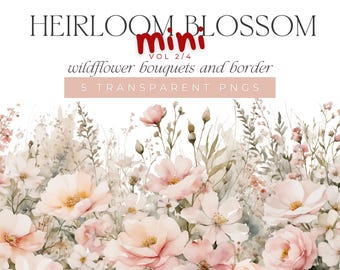 Rosa und Weißer Wildblumen Strauß Clipart - 5 Aquarell Blumen PNGs & Rahmen, Botanischer Download