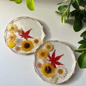 Juego de 2 posavasos florales de resina: decoración de mesa hecha a mano con flores silvestres prensadas.