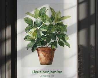 Ficus benjamina 17.1 Digital Art Print Watercolor Poster - Wall Art Poster, Instant Download