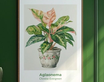 Aglaonema 01 Digital Art Print Watercolor Poster - Wall Art Poster, Instant Download
